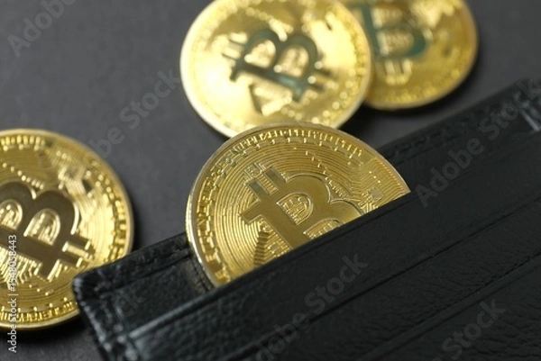 Fototapeta Golden bitcoin with black wallet, close up. Bitcoin and cryptocurrency investment concept. Electronic decentralized money concept, close up