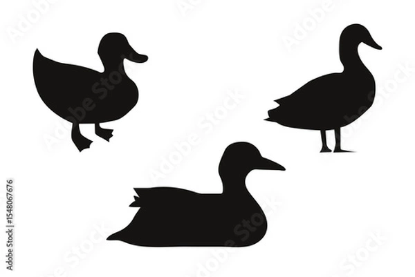 Obraz Duck silhouette set on a white background. Vector illustration