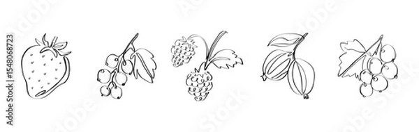 Fototapeta Continuous line berries collection. Abstract summer doodle strawberry raspberry blueberry blackberry currant minimalistic drawing, natural garden fruit. Vector set