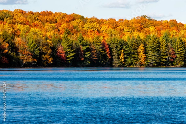 Fototapeta The colorful fall shoreline of Hemlock Lake, near Woodruff, Wisconsin in mid-October