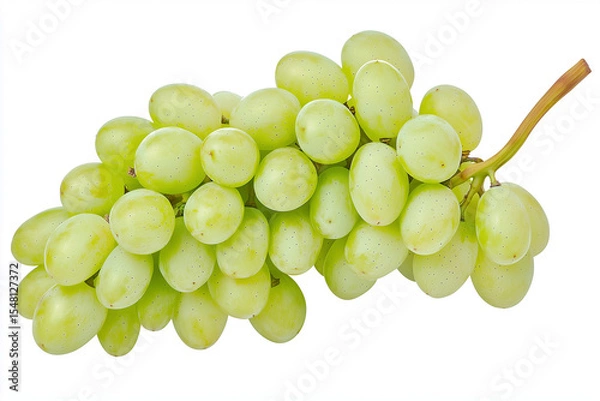 Obraz Green grapes on a stem, fresh fruit close-up isolated