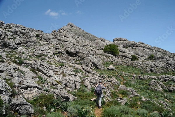 Fototapeta Trekking a Punta Corrasi nel Supramonte di Oliena