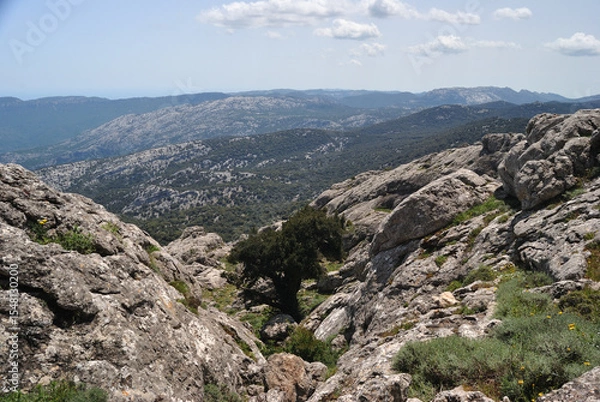 Fototapeta Trekking a Punta Corrasi nel Supramonte di Oliena