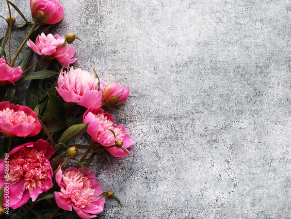 Fototapeta Bouquet of a lot of peonies of pink color close up. Flat lay, top view. Peony flower texture. Purple peonies on a gray background, copy space.