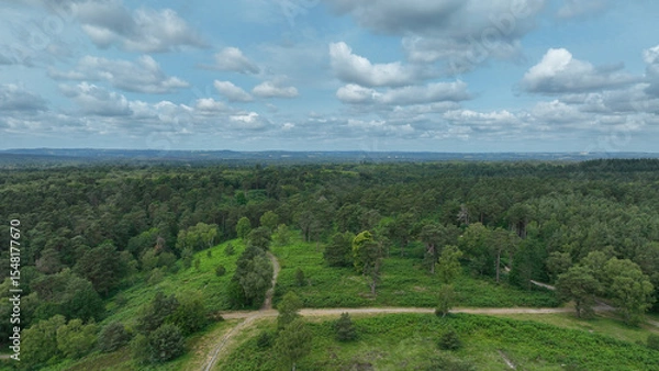 Obraz Aerial view of footpaths and woodland trees