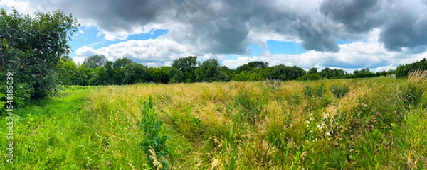 Fototapeta Panoramic view of a summer meadow with tall grass and dense green trees under a dramatic sky. Perfect for backgrounds, banners, and nature-themed design.