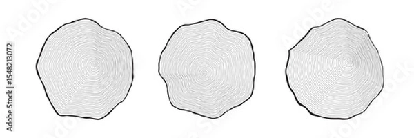 Fototapeta Set of outlined wood sections displayed on a white, showing the wavy, concentric annual growth rings. Cross sections of tree trunks. Natural looking wavy circular formations. Vector illustration