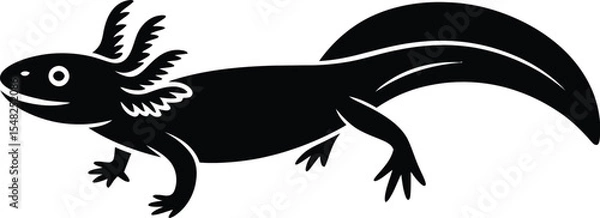 Obraz A black and white illustration of an axolotl with feathery gills and a curved tail on a white background