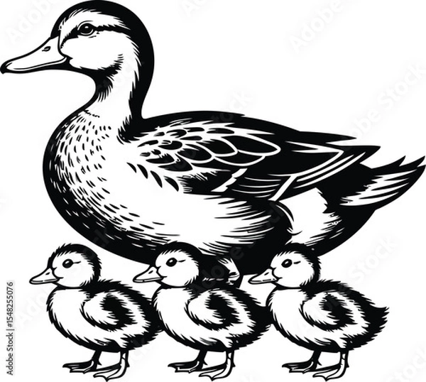 Obraz A black and white illustration of a duck followed by three ducklings in a simple line drawing style
