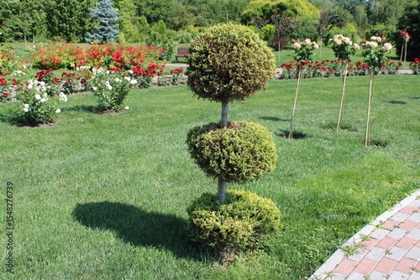 Obraz A serene garden scene featuring a small tree surrounded by vibrant flowers.