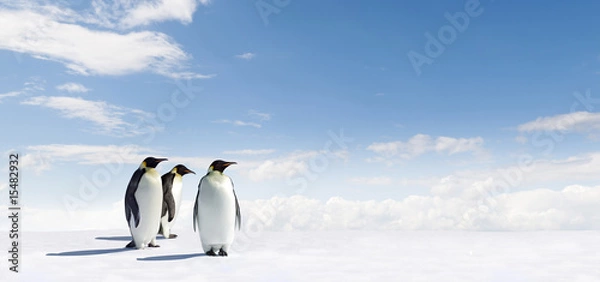 Obraz Emperor Penguins