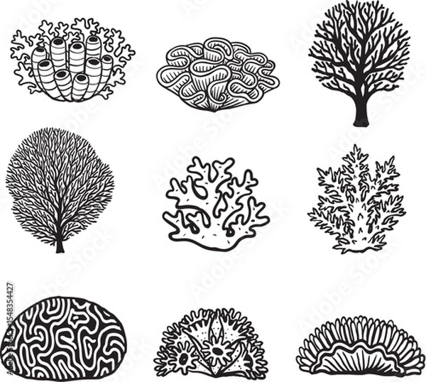 Obraz Hand drawn caral reef collection for design element. Vector illustration.
