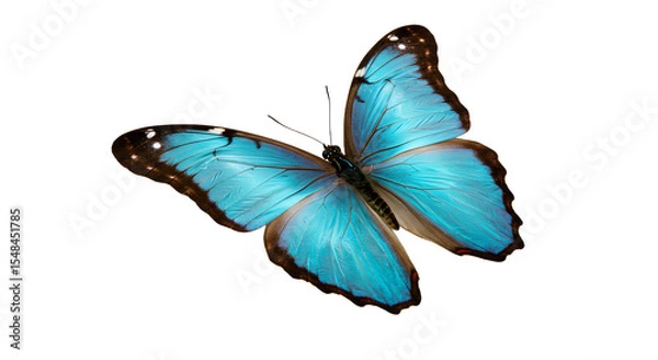 Fototapeta Vibrant blue butterfly gracefully fluttering against a soft backdrop, showcasing its intricate wing patterns and colors