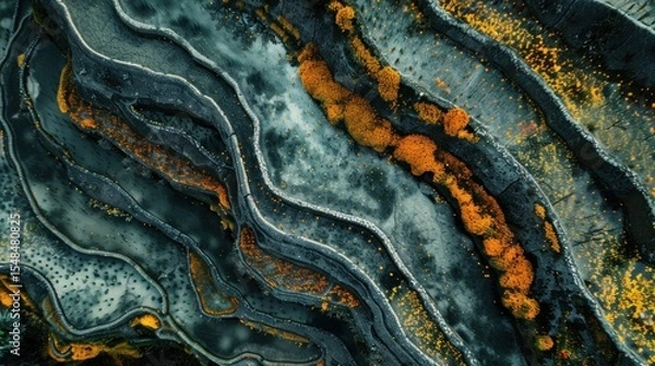 Fototapeta Overhead view of textured landscape with contrasting colors and abstract forms