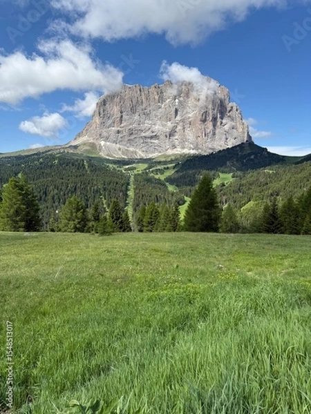 Obraz Sasso Lungo Dolomiti Mountain in Italy