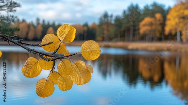 Fototapeta Golden autumn leaves on a branch contrast with the blurred lake and forest backdrop serenity.