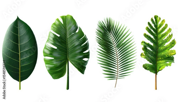 Obraz set of tropical plant leafs isolated on transparent background