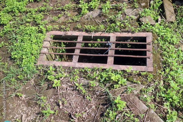 Fototapeta Rusty Metal Grate Surrounded by Overgrown Grass