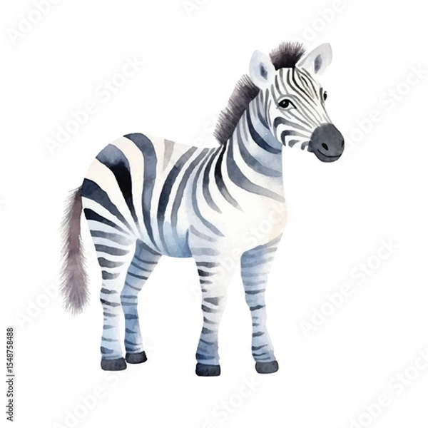 Fototapeta Watercolor Zebra with Black and White Stripes Standing in Profile View