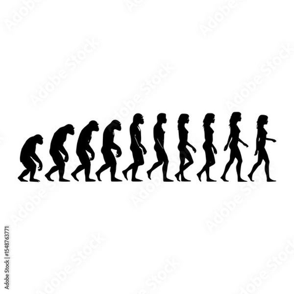 Obraz Human evolution stages silhouettes illustration