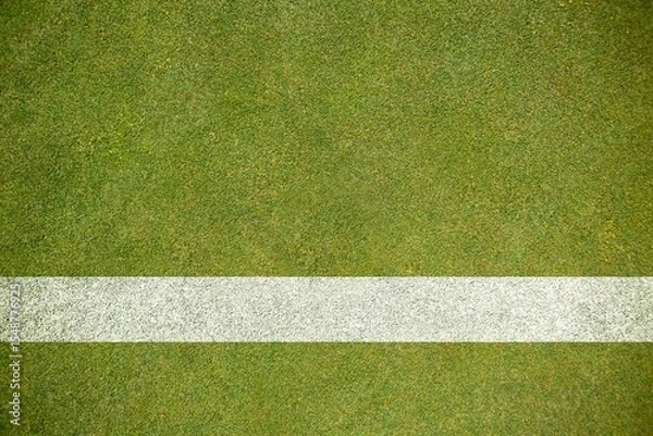 Fototapeta Thick horizontal white painted line is running across green grass turf in flat vector illustration