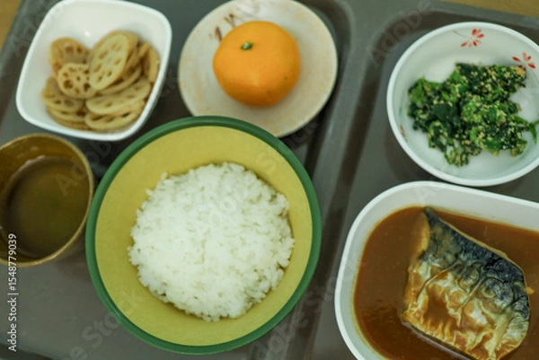 Obraz 低カロリー減塩病院食（ご飯、さばの味噌煮、レンコンのキンピラ、ほうれん草のあえ物、みかん）
