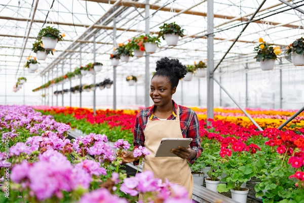 Obraz An African-American woman, smiling, holding a tablet while inspecting colorful flowers in a greenhouse.