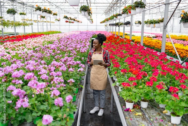 Obraz An African American woman surveys vibrant rows of colorful flowers in a greenhouse. She holds a tablet, likely assessing plant health or inventory.