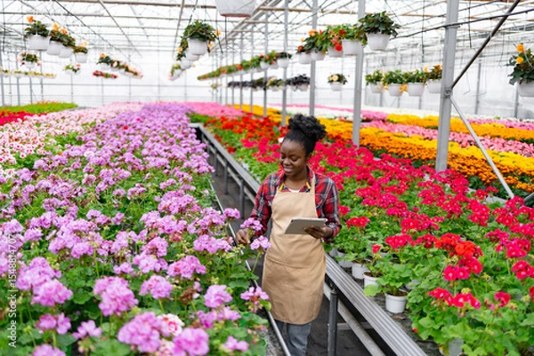 Obraz An African woman in a greenhouse examines blooming flowers, using a tablet for assessment and tracking.