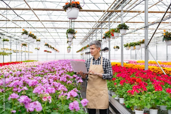 Obraz A gardener in a greenhouse, using a laptop to manage vibrant flowers and plants in pots and hanging baskets.