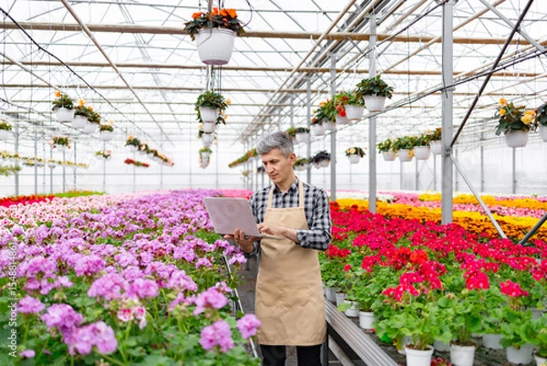 Obraz A man in a greenhouse inspects flowers, using a laptop to manage the flora in this colorful environment. Hanging baskets and various blooms create a vibrant scene.