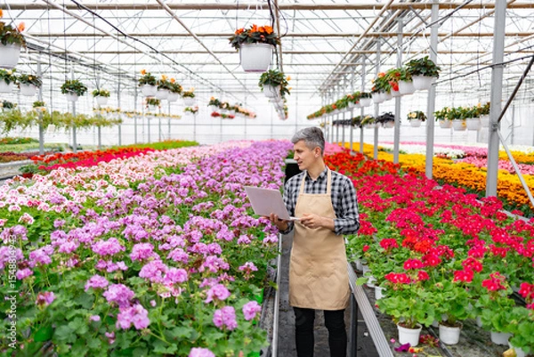 Obraz A gardener with a laptop inspects flowers in a vibrant greenhouse filled with blooms.