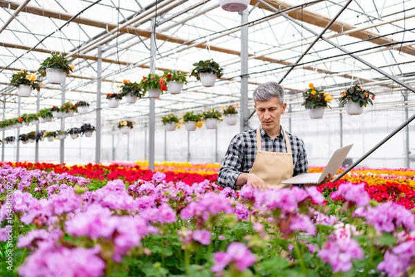 Obraz A gardener in a greenhouse surrounded by vibrant flowers uses a laptop to manage the plants.