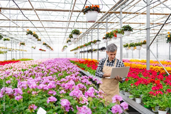 Obraz A gardener in a greenhouse checks the health of vibrant flowers using a laptop, surrounded by blooms.