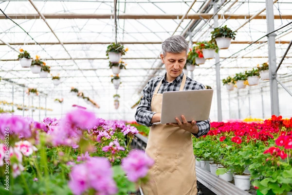 Obraz A man in a greenhouse surrounded by vibrant flowers uses a laptop. He appears to be working in a floral shop.