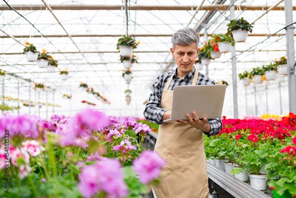 Obraz A man in a greenhouse, working on a laptop amidst vibrant flowers, managing plants.