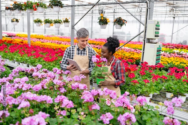 Obraz Two diverse greenhouse workers discussing a potted plant, surrounded by vibrant flowers of various colors.