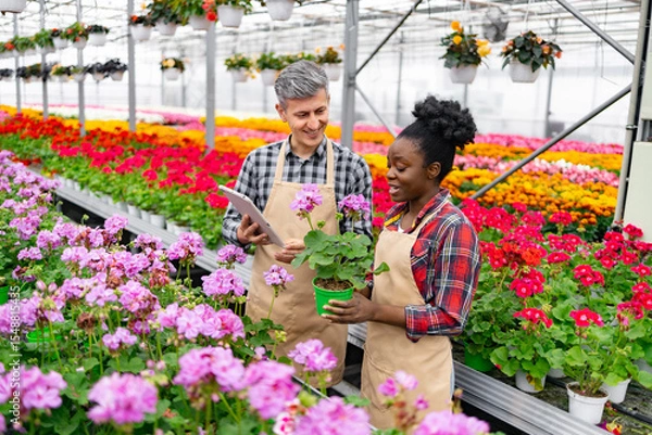 Obraz Two people examine a potted plant in a vibrant greenhouse, surrounded by colorful flowers.