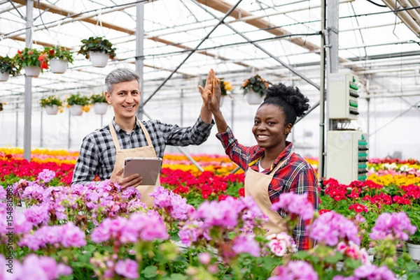 Obraz Two diverse greenhouse workers celebrate a successful day with a high-five amidst blooming flowers.