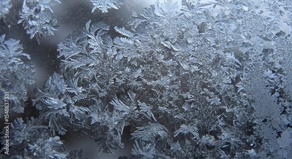 Fototapeta Intricate Frost Patterns on a Windowpane: A Winter's Day Tapestry