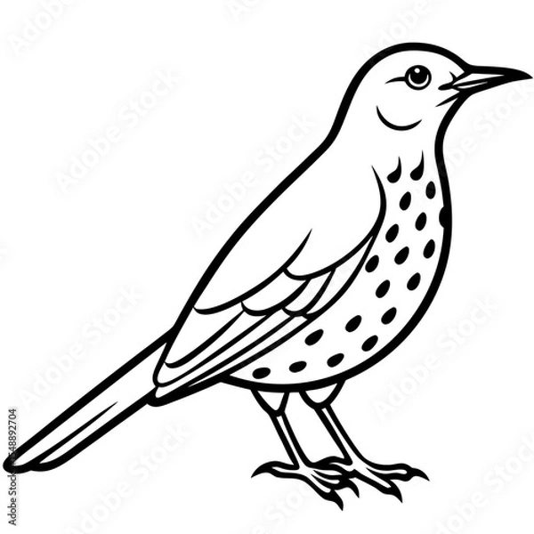 Obraz Elegant Thrush Bird Line Art