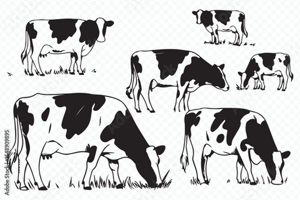 Obraz hand-drawn rural landscape featuring black and white cows grazing in a grassy field vector