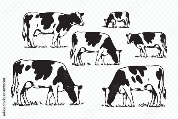 Obraz vintage style sketch of grazing cows in pasture, livestock illustration, farm animals art vector