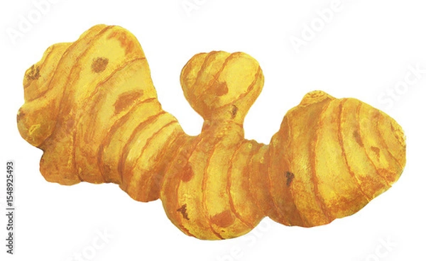 Fototapeta ショウガのイラスト