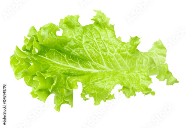 Obraz Salad leaf. One green lettuce isolated on white background. clipping path