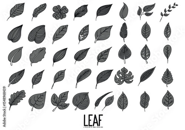 Obraz Leaf Doodle vector icon set. Drawing sketch illustration hand drawn line eps10