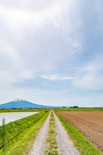 Obraz 春の農道と岩木山
