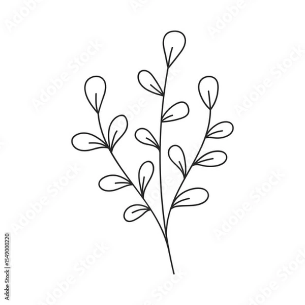 Fototapeta Hand drawn floral design. Doodle monochrome illustration of branch with oval leaves. Simple botanical design element in linear doodle style. Vector 10 EPS.