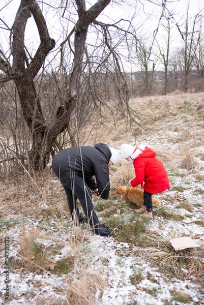 Fototapeta Bonding moments in winter woods as a child in a red coat plays with a cat while an adult crouches nearby on a chilly day