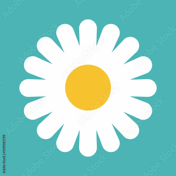 Obraz Flower icon. Retro spring summer white flower icon design. Camomile icon set. Cute round flower plant collection isolated on white background.